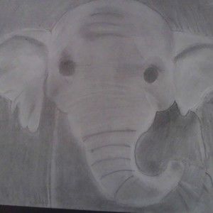 Meet your Posher, Amarit